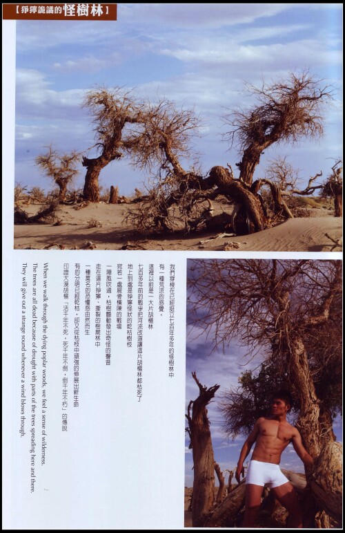 Scan20068.jpeg