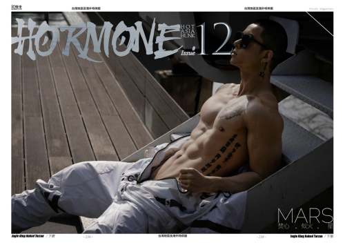 Hormone18C-197.png