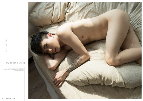 102d2375eea8c803a99.png