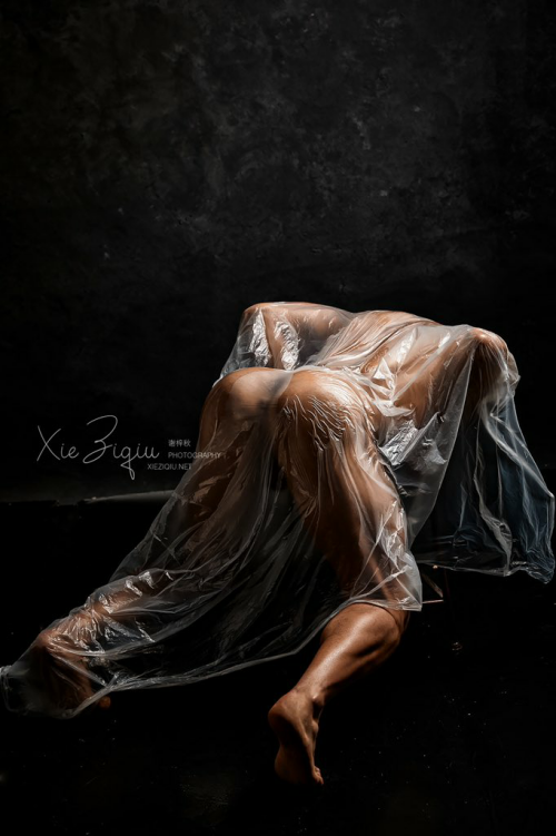 1119ed058fa6f32159.png