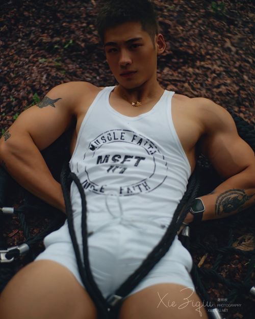 6869b3d8bab0448661.png
