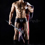 Body-Style-No.17--061