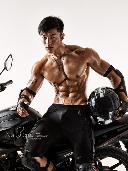 BodyStyle-11-16.png