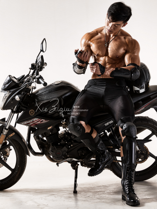BodyStyle-11-19.png