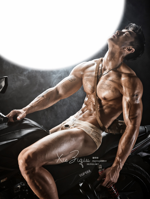 BodyStyle-11-40.png
