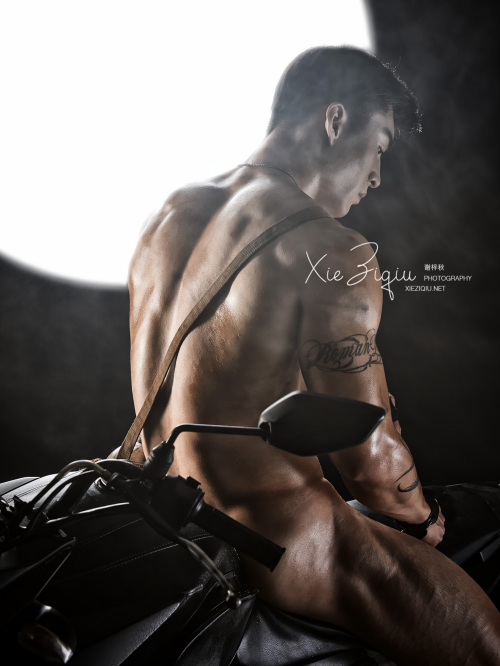 BodyStyle-11-55.png
