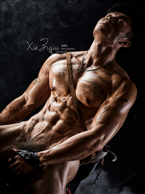 BodyStyle-11-60.png