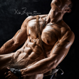 BodyStyle-11-60