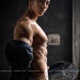 BodyStyle-No.28--007