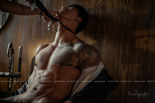 BodyStyle-No.31--022.png
