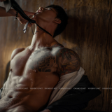 BodyStyle-No.31--022