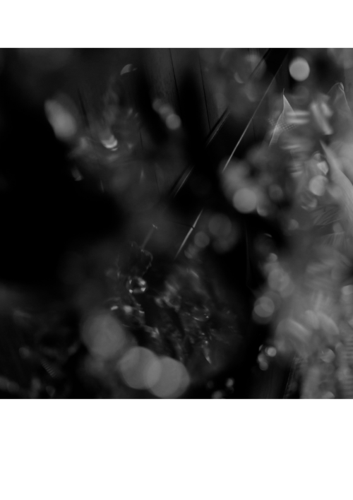 KORA-ROOM-8_084.png
