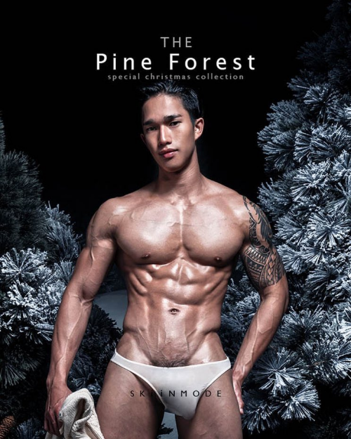 The-Pine-Forest-001.png