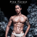 The-Pine-Forest-001