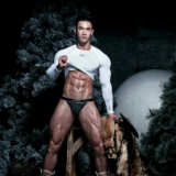 The-Pine-Forest-033