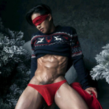 The-Pine-Forest-059