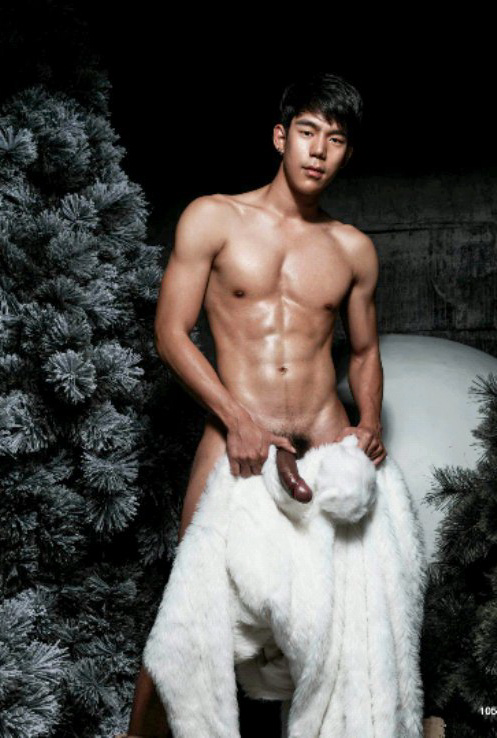The-Pine-Forest-080.png