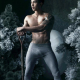 The-Pine-Forest-100