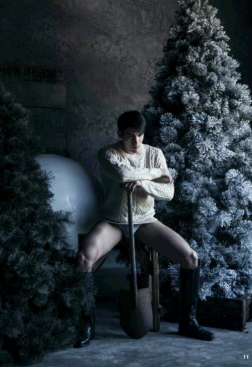 The-Pine-Forest-101.png