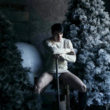 The-Pine-Forest-101
