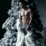 The-Pine-Forest-105