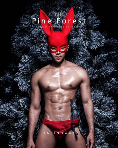 The-Pine-Forest-112.png