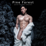 The-Pine-Forest-113