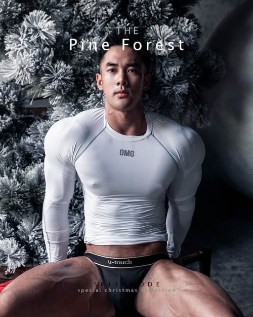 The-Pine-Forest-114.png