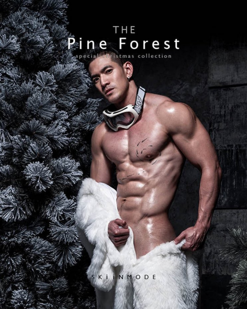 The-Pine-Forest-115.png