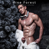 The-Pine-Forest-115