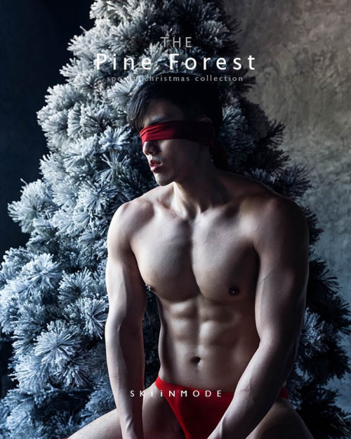 The-Pine-Forest-116.png