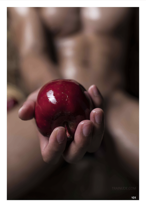 XPERIMENT-04-074.png