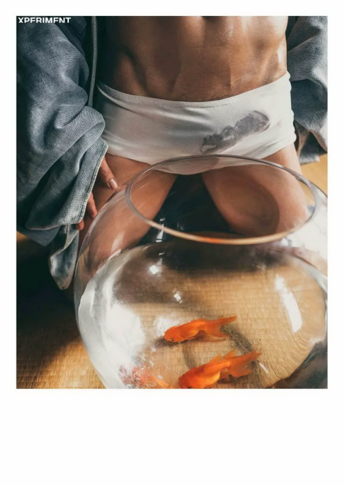 XPERIMENT5-03542f3b9cd79181a6e.png