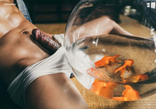 XPERIMENT5-0385b4a6e383886a488.png