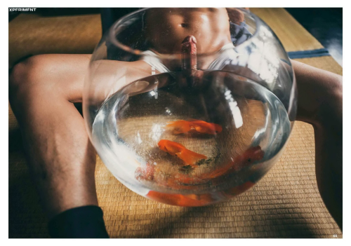 XPERIMENT5-0415fb3989ed5f1c493.png