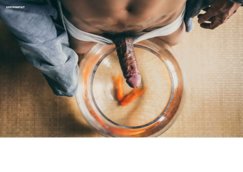 XPERIMENT5-04408fb5586b3f67d6d.png