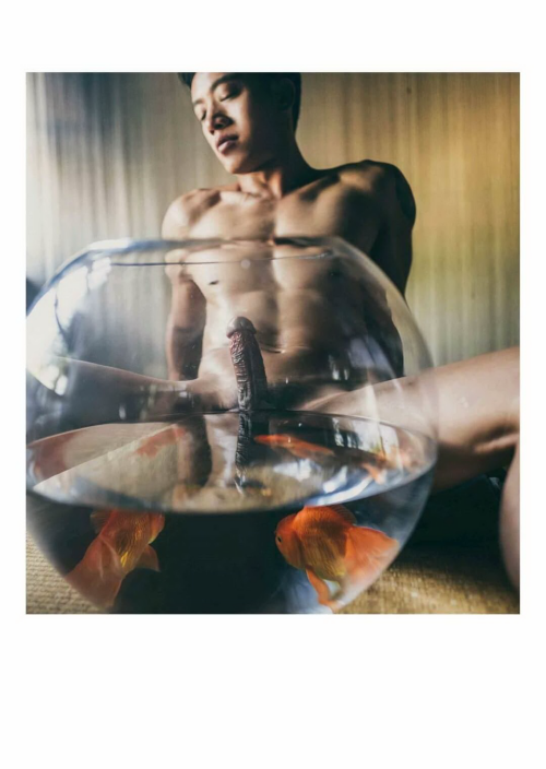 XPERIMENT5-051605945a2dece256c.png