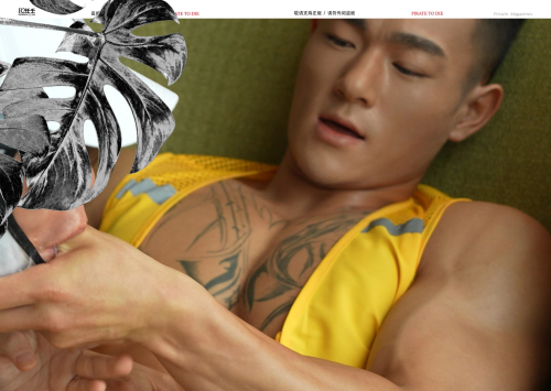 HORMONE-Issue-21C-80.png