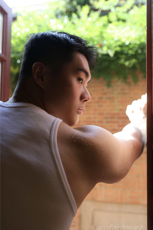 03919d6719b661fb433.png