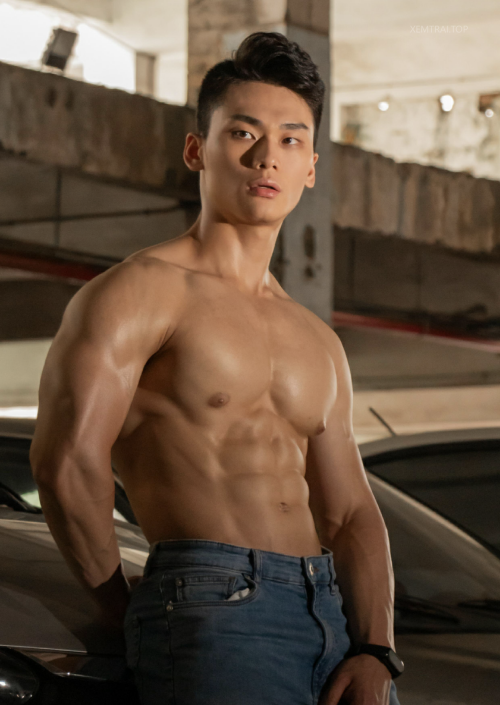 031af16a031355af528.png