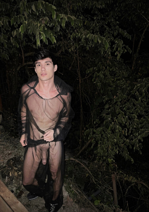pic29.jpg