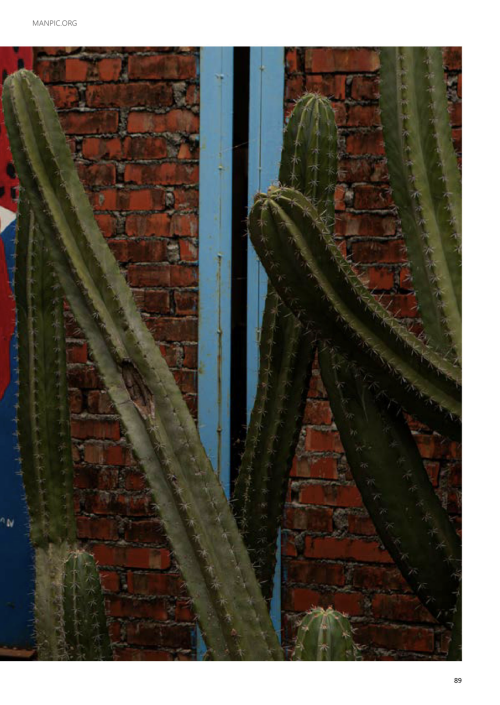 074.png