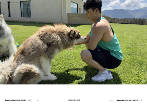 012b09c0c7c52f7584a.png