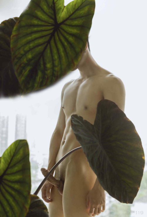 1176391541ba07eeff1.png