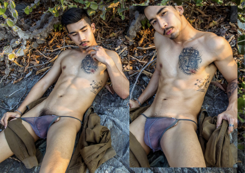 029d259a80dc0b85715.png
