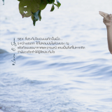 1542a642165764ae984