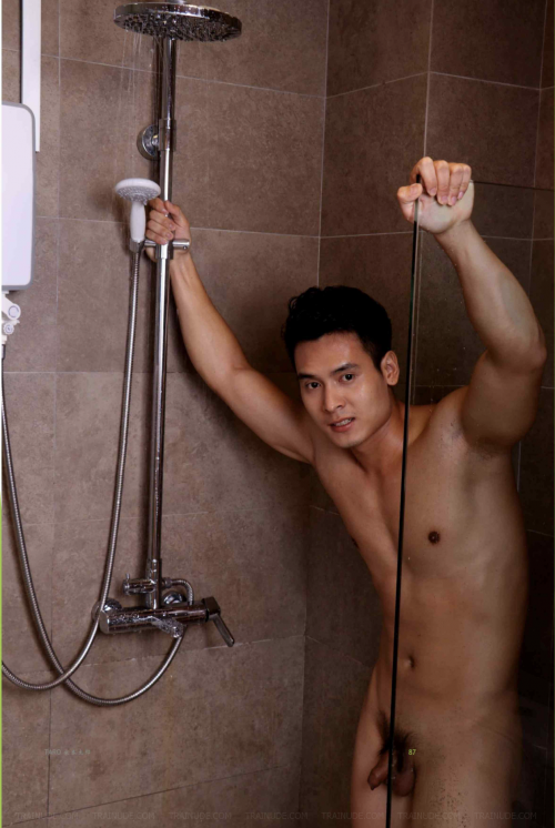taro_adq_22122019_124747_231.png