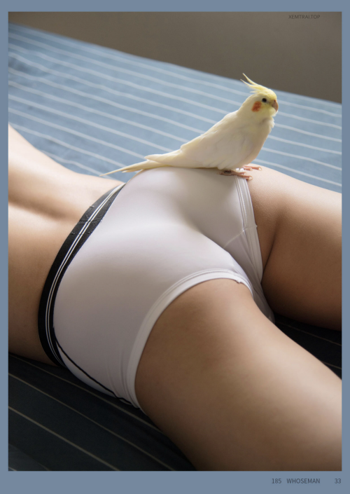 025.png