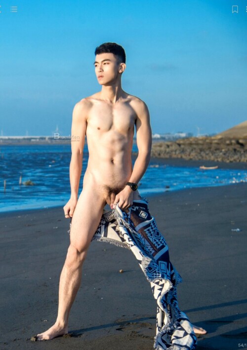 BLUEMEN--NO.251-51.jpg