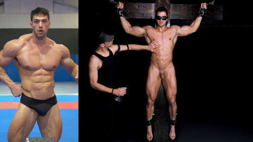 comparison-more.png